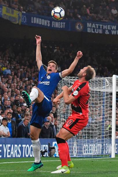 是训练球员 是训练球员